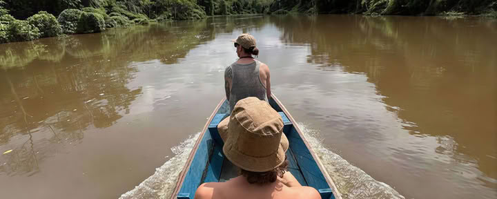 Ayahuasca Immersion