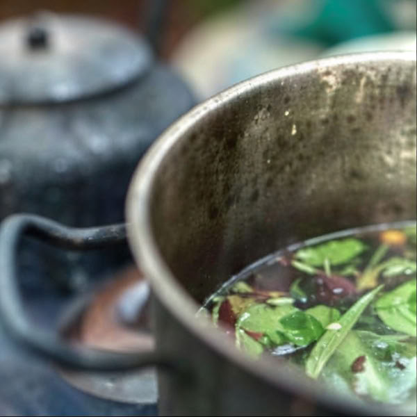 Ayahuasca Retreat Iquitos, Perú