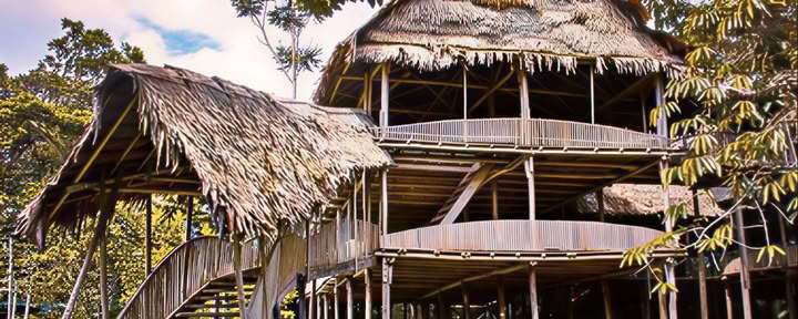 9-Day Ayahuasca Retreat