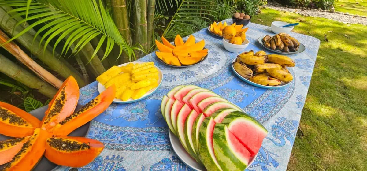 Return To Paradise wellness retreat