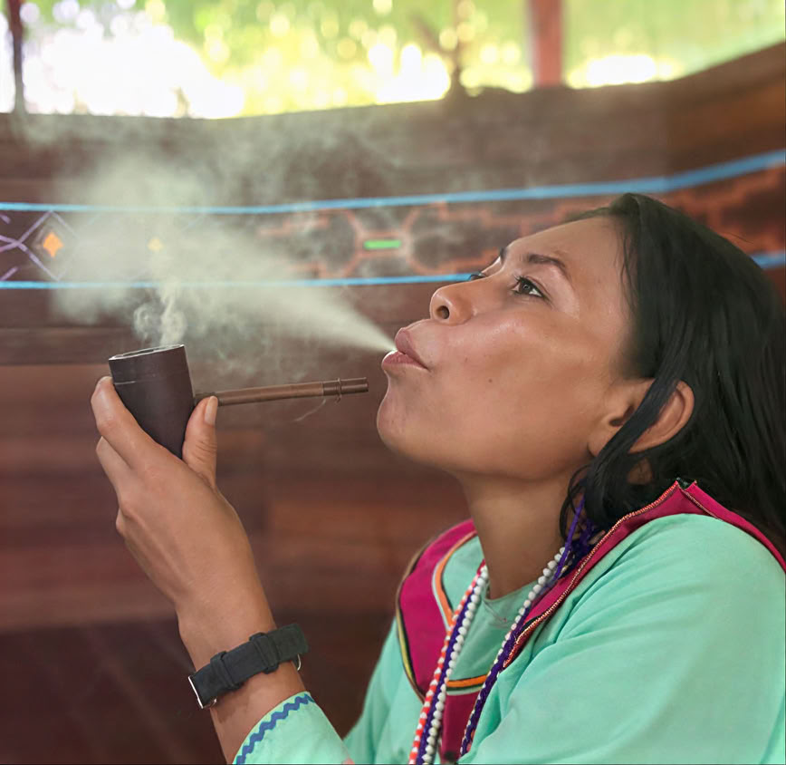 5 Day Introduction to Ayahuasca and Amazonian Plant Medicine