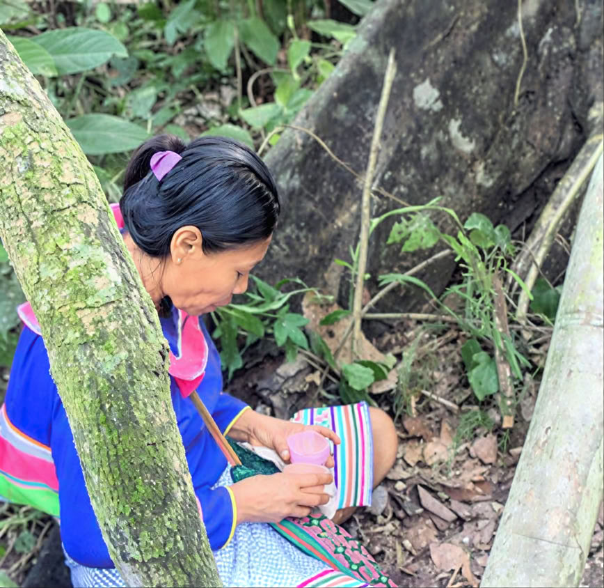 5 Day Introduction to Ayahuasca and Amazonian Plant Medicine