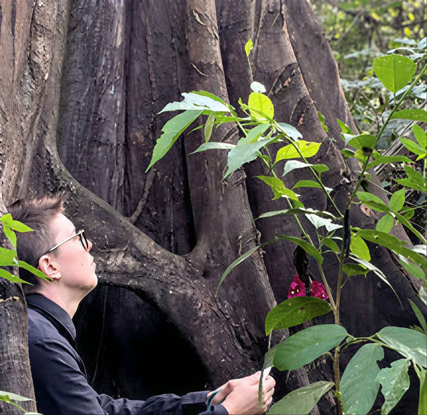 5 Day Introduction to Ayahuasca and Amazonian Plant Medicine