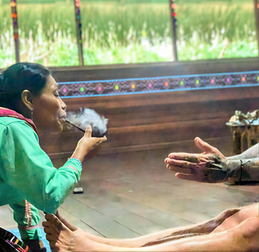 5 Day Introduction to Ayahuasca and Amazonian Plant Medicine