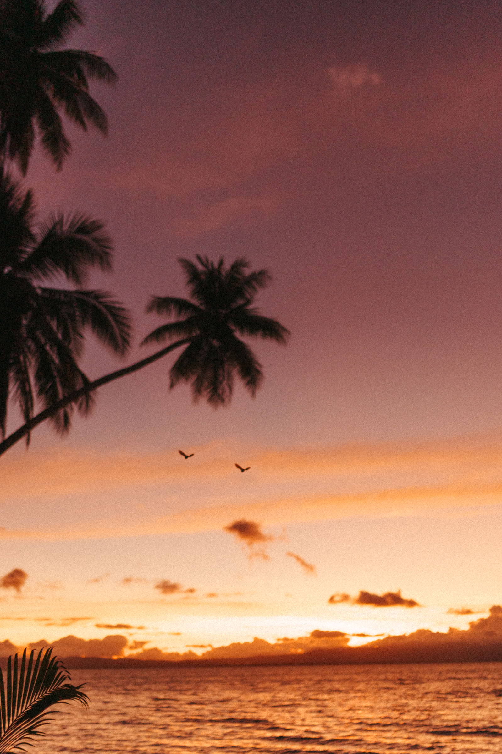8-day retreats