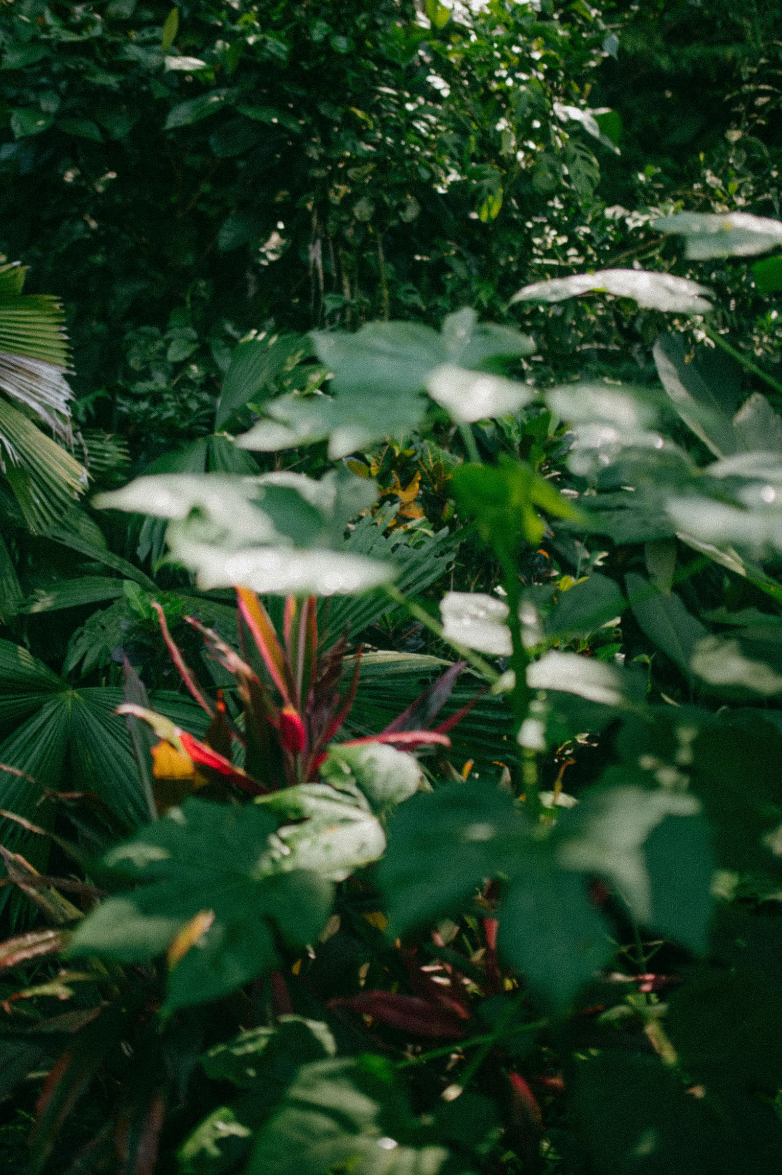 8-day retreats