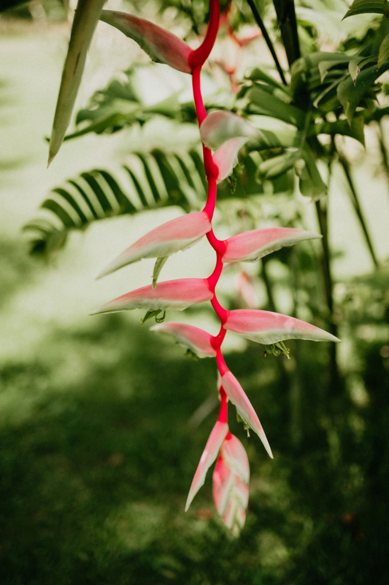 8-day retreats