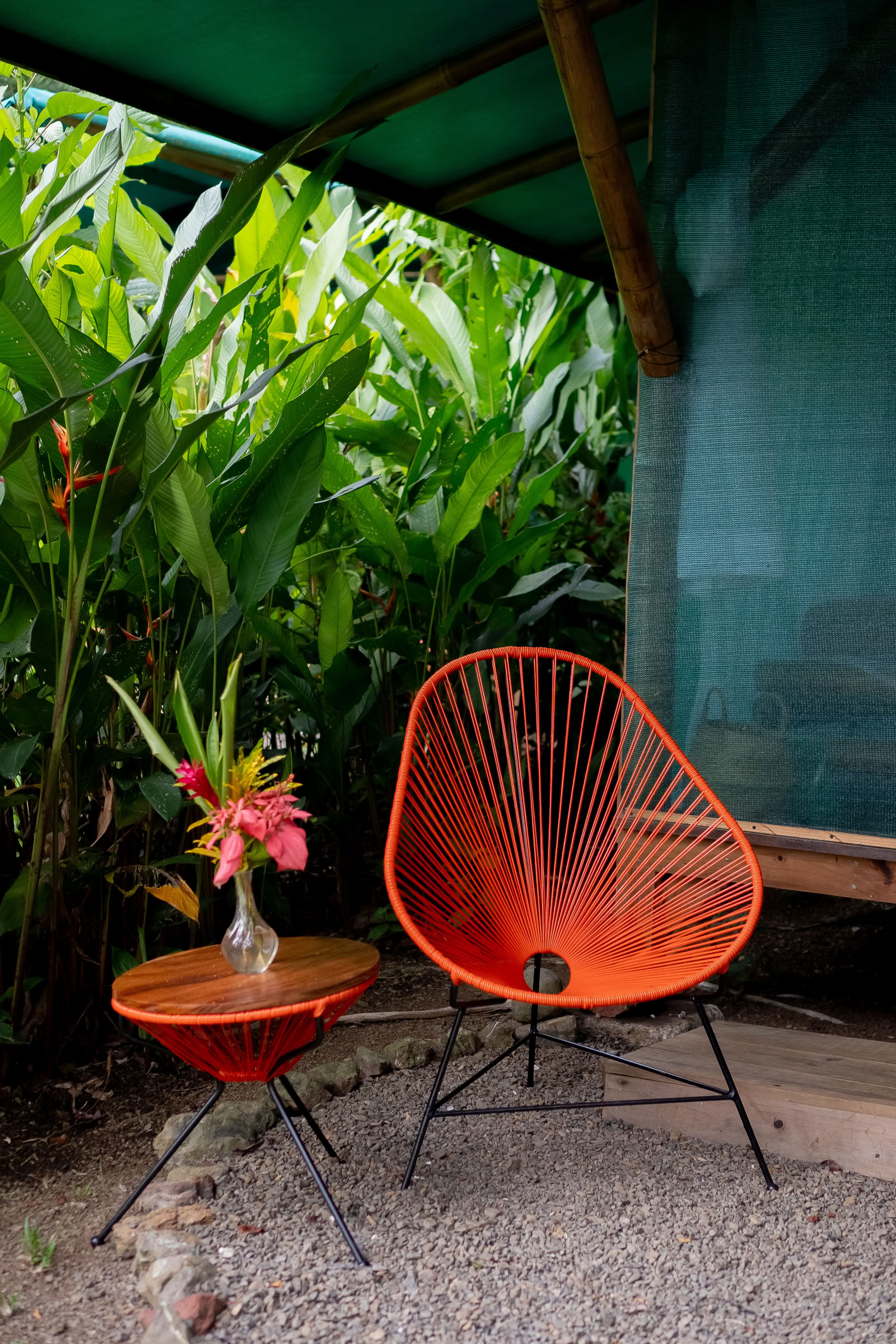 Ayahuasca Workshops