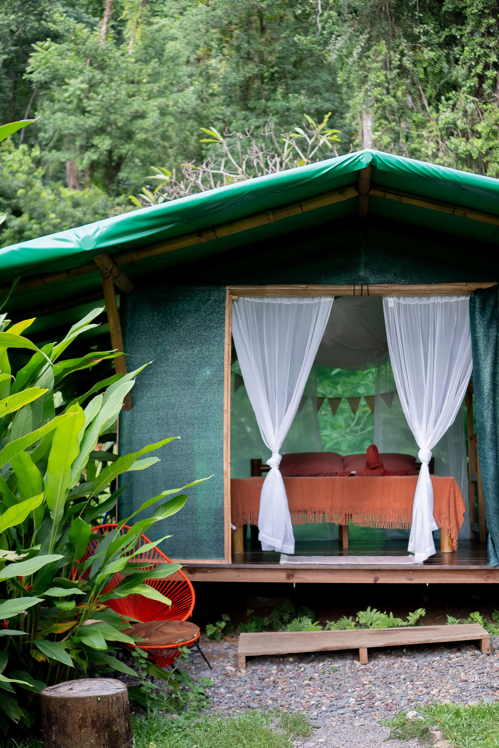 Ayahuasca Workshops