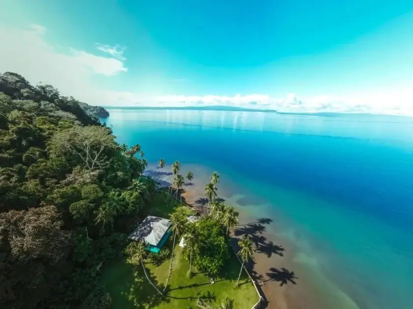 Ayahuasca Workshops - 8 Days
