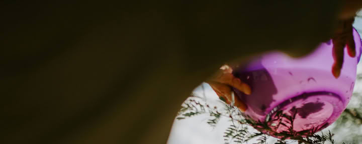 Ayahuasca Workshops - 8 Days