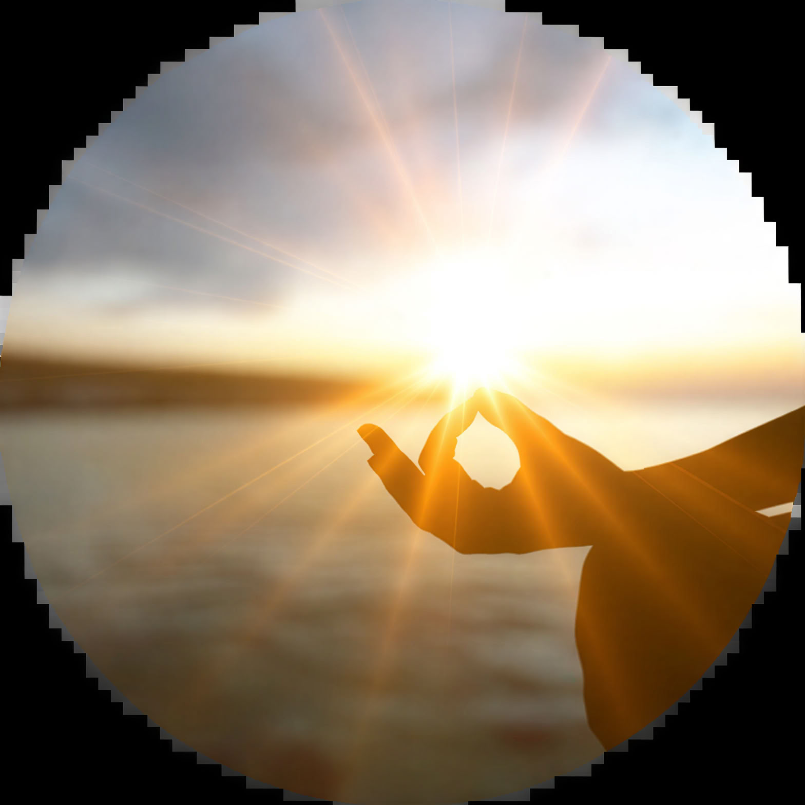8 Day Sacred Plant Retreat with Psilocybin / Magic Mushroom