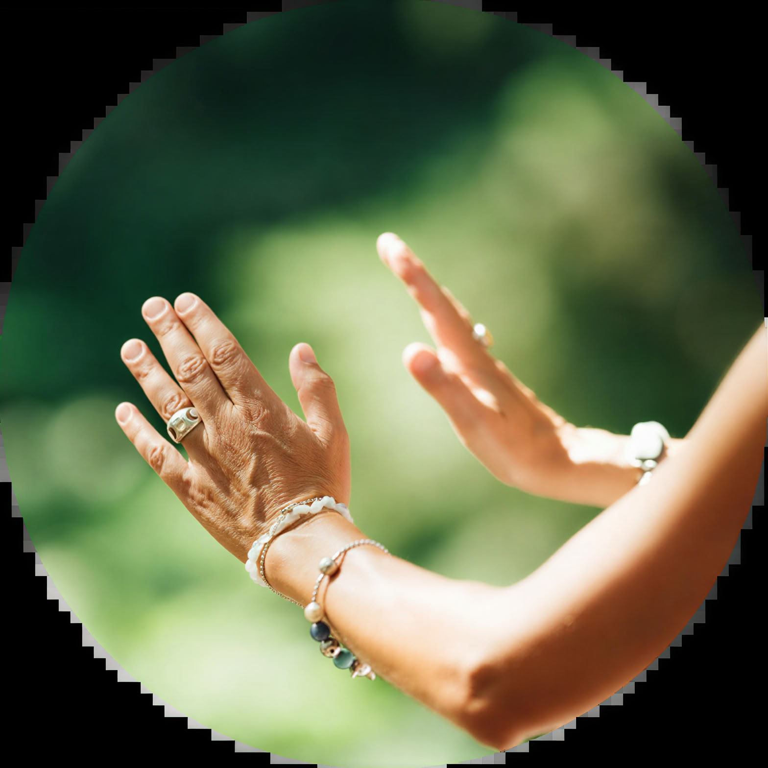 8 Day Sacred Plant Retreat with Psilocybin / Magic Mushroom
