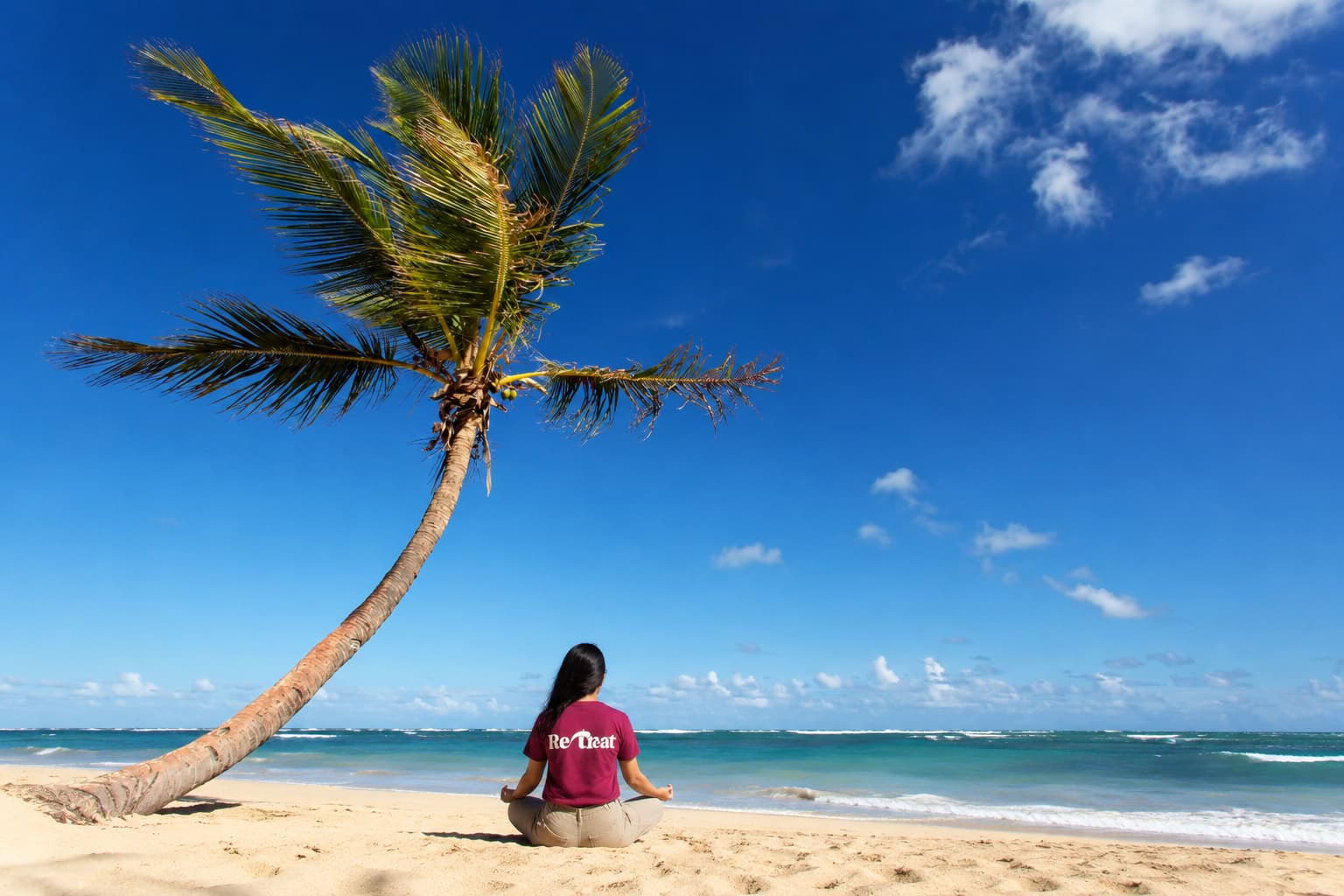 Silva Method Goa Retreat 2026