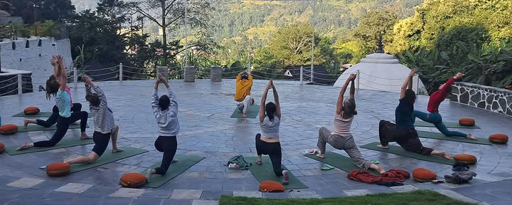 Yoga Wellness Retreat