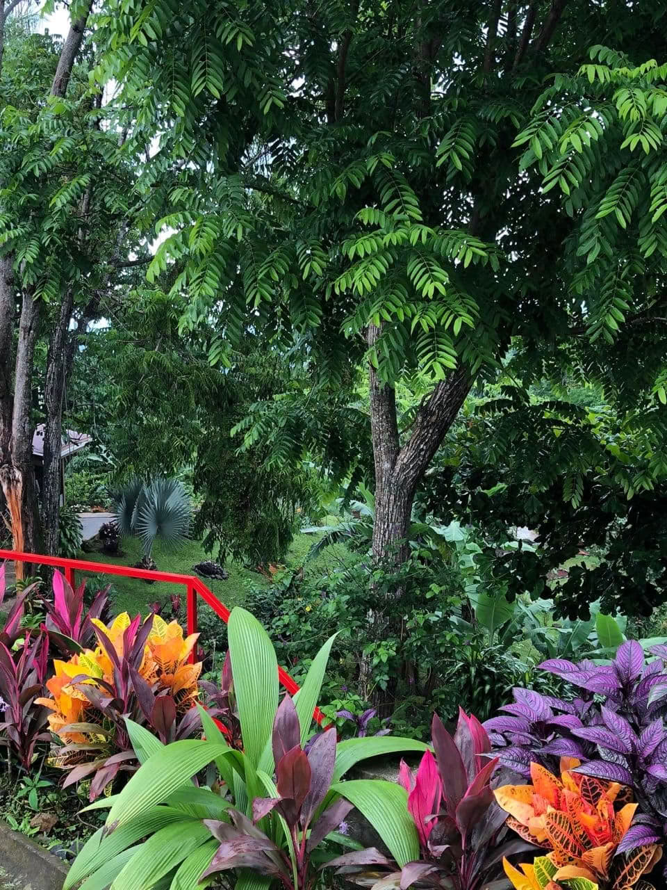 Plant Ceremony Retreat – 2026 August