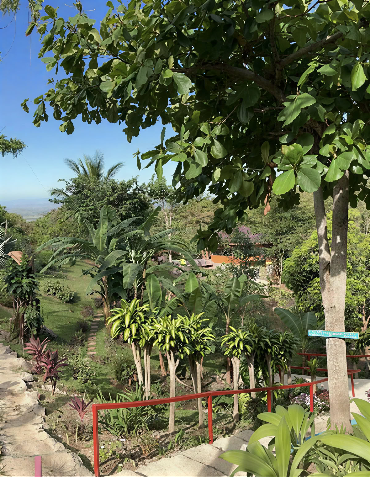 Plant Ceremony Retreat – 2026 August