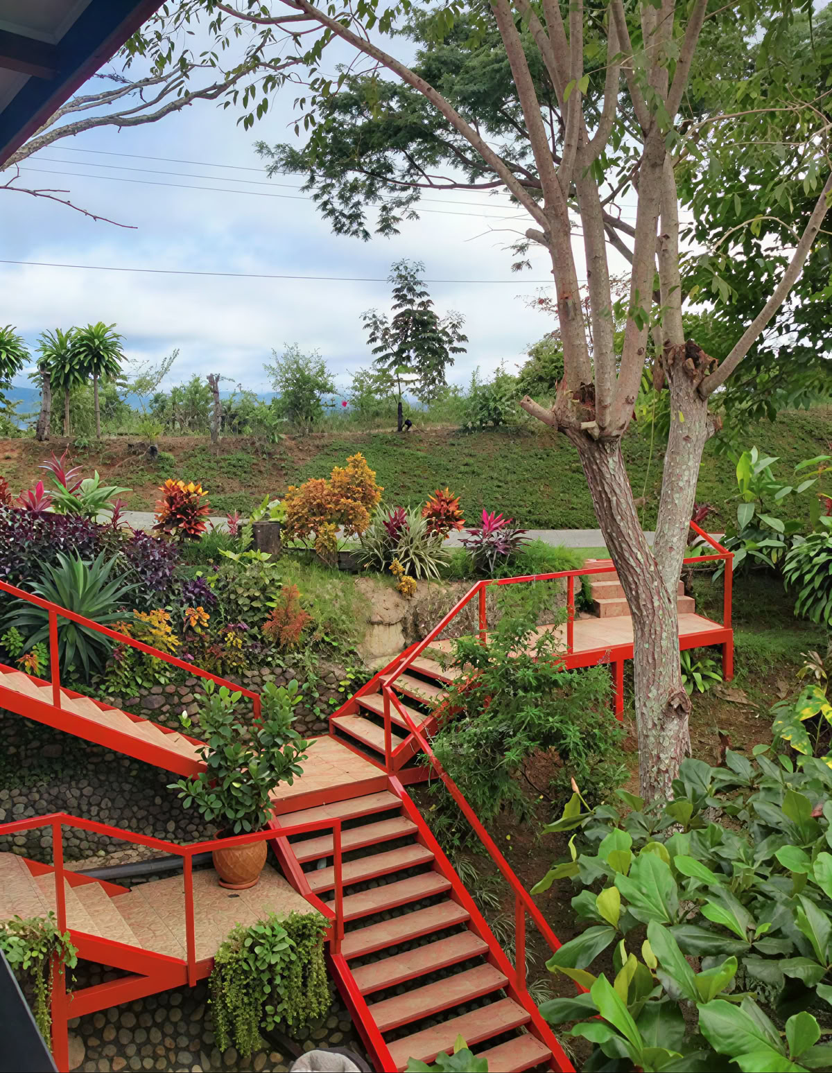 Plant Ceremony Retreat – 2026 August