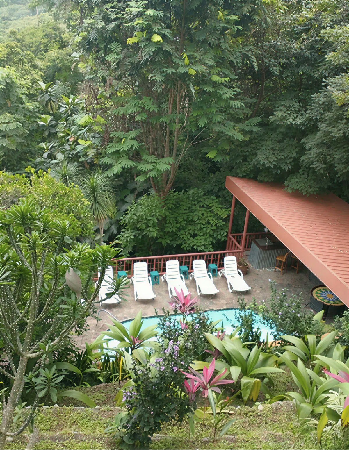 Plant Ceremony Retreat – 2026 August