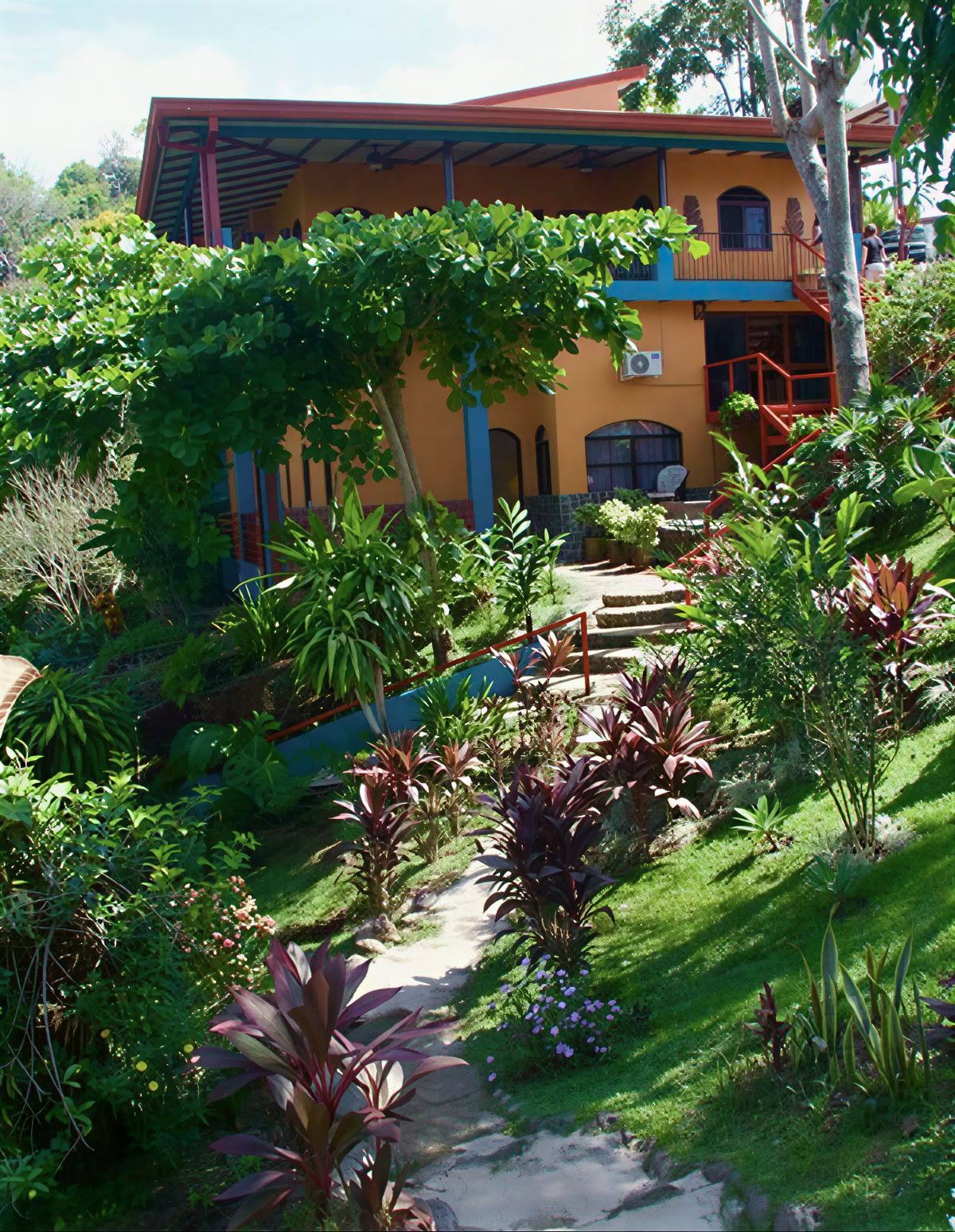 Costa Rican Spiritual Ayahuasca Retreat