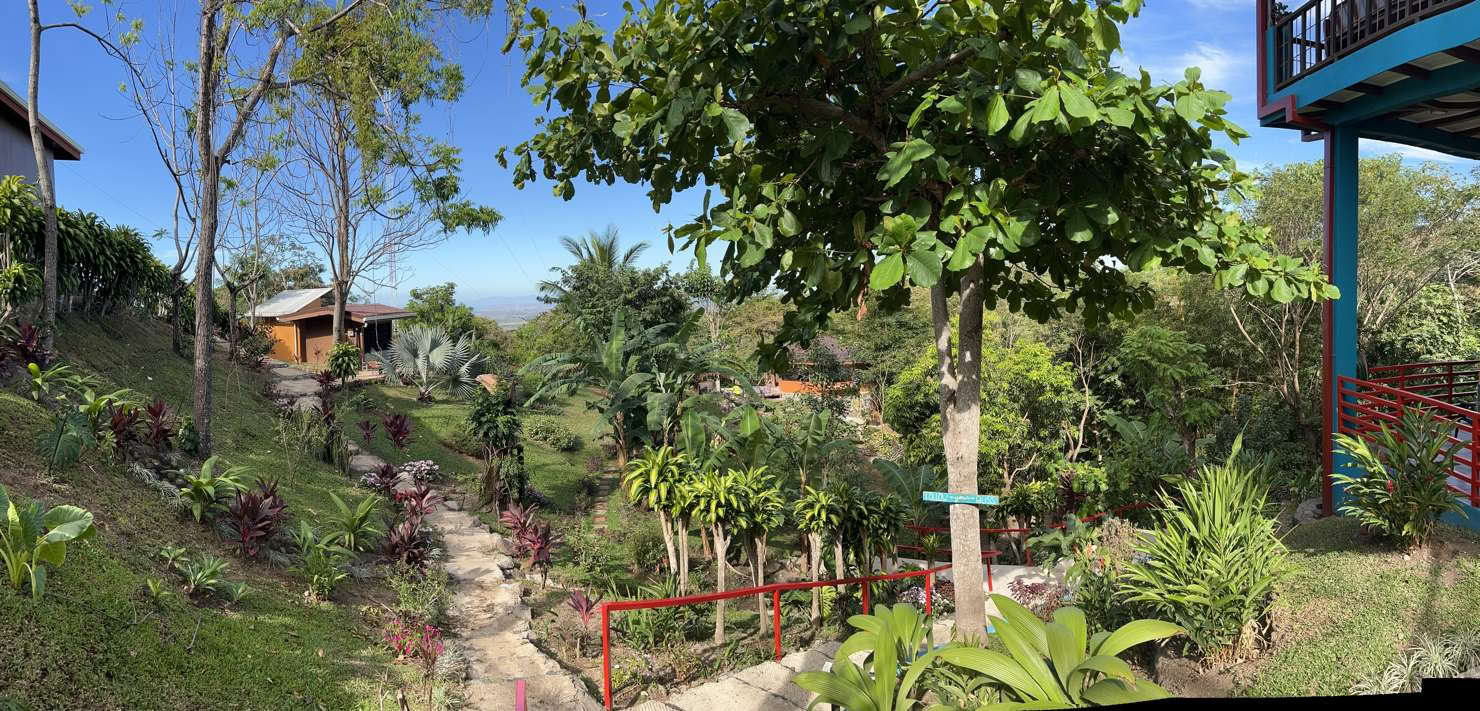 Costa Rican Spiritual Ayahuasca Retreat