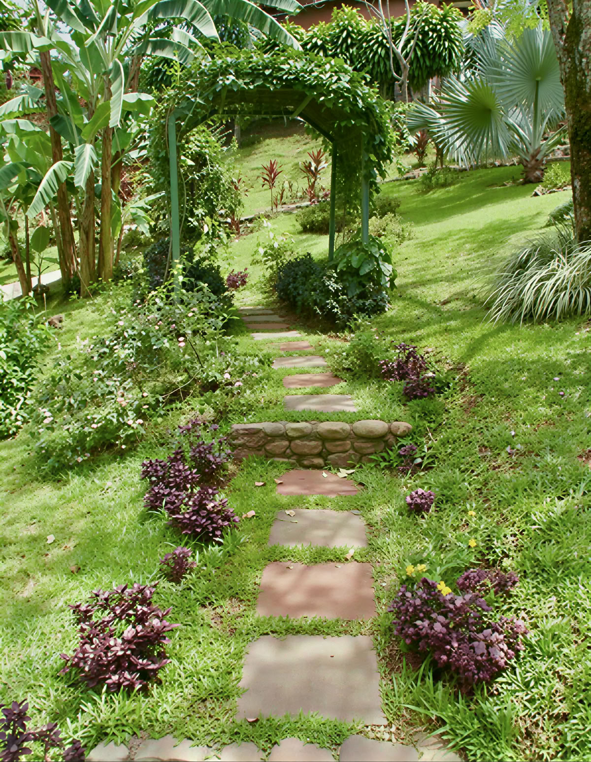 Costa Rican Spiritual Ayahuasca Retreat