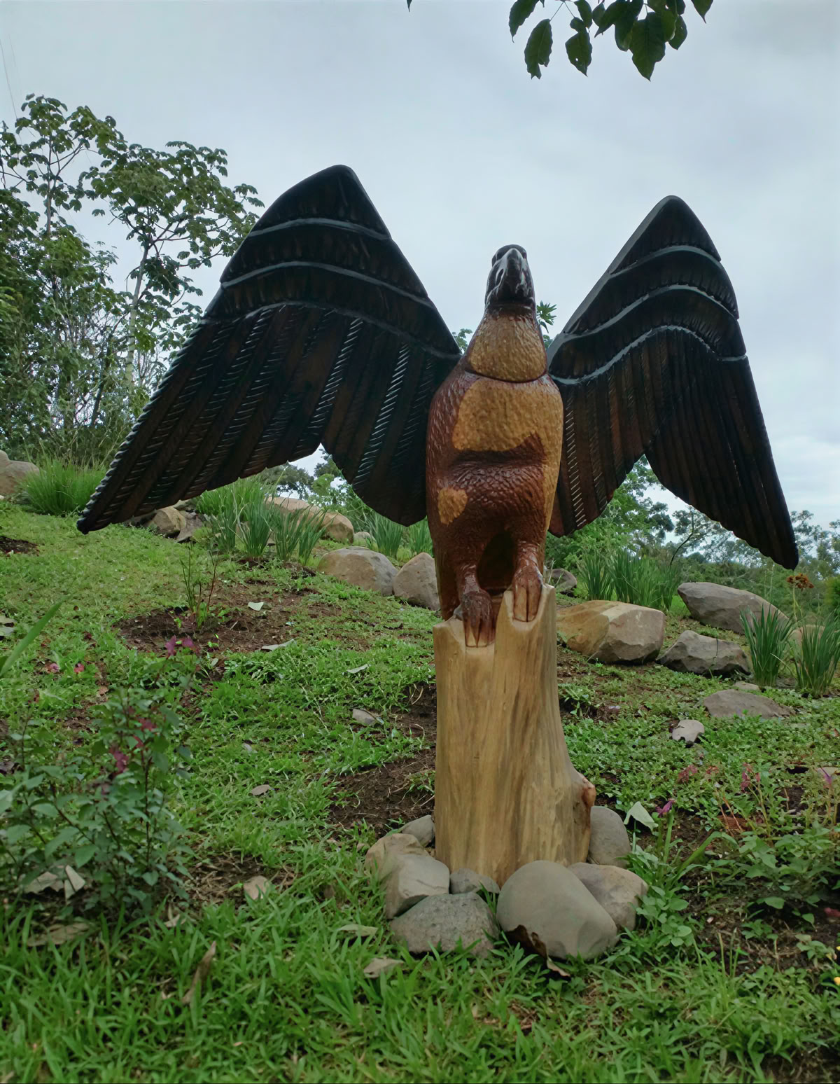 Costa Rican Spiritual Ayahuasca Retreat