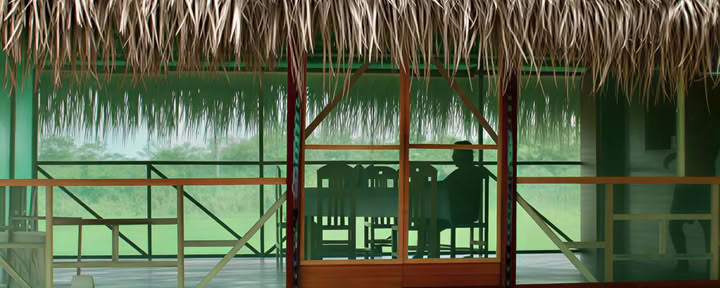 2 Weeks Ayahuasca Retreat Peru