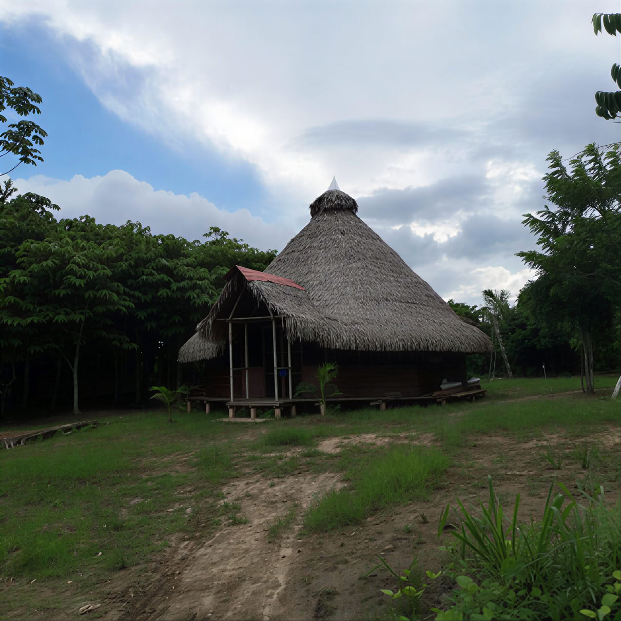 3 Weeks Ayahuasca Retreat Peru