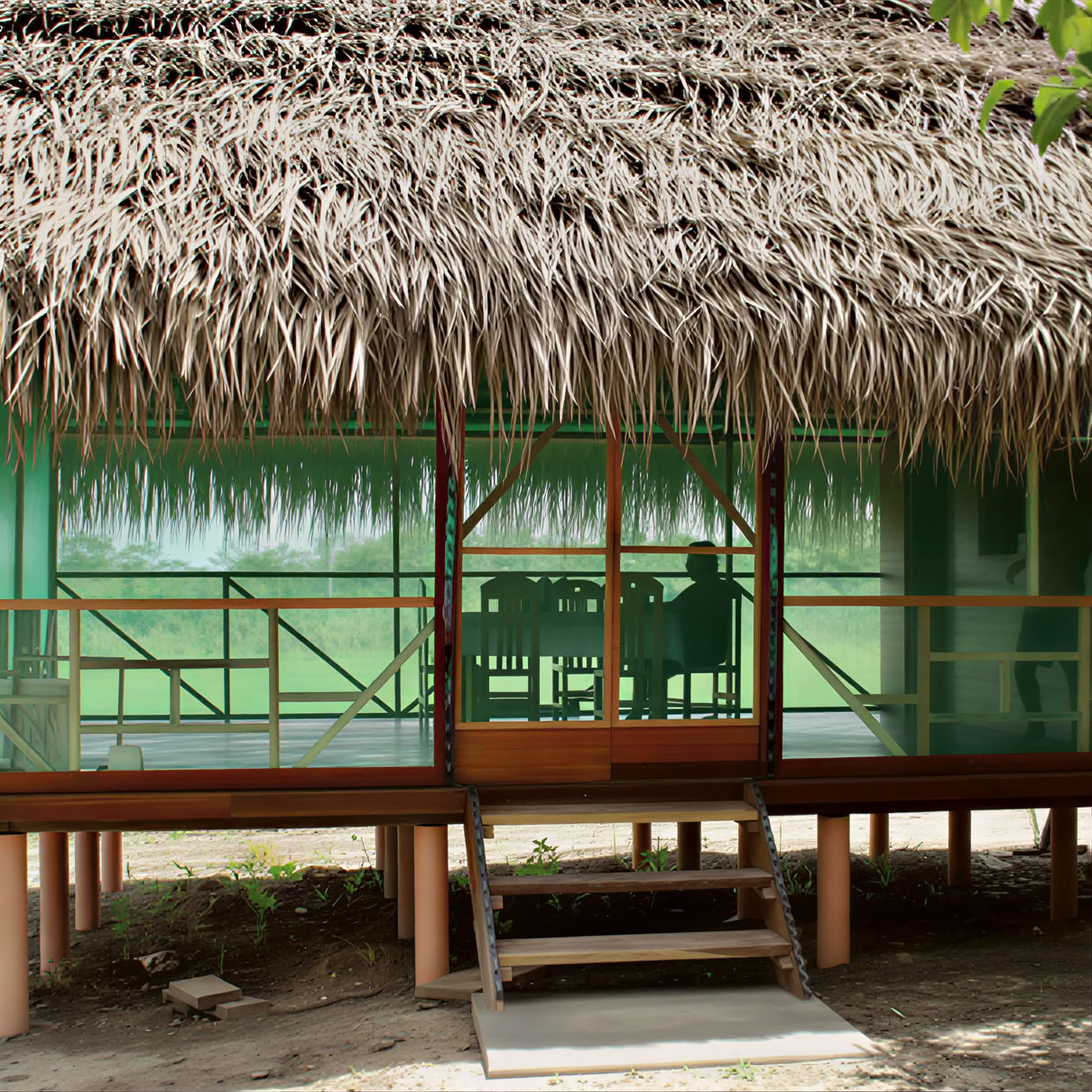 3 Weeks Ayahuasca Retreat Peru