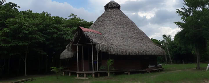 3 Weeks Ayahuasca Retreat Peru