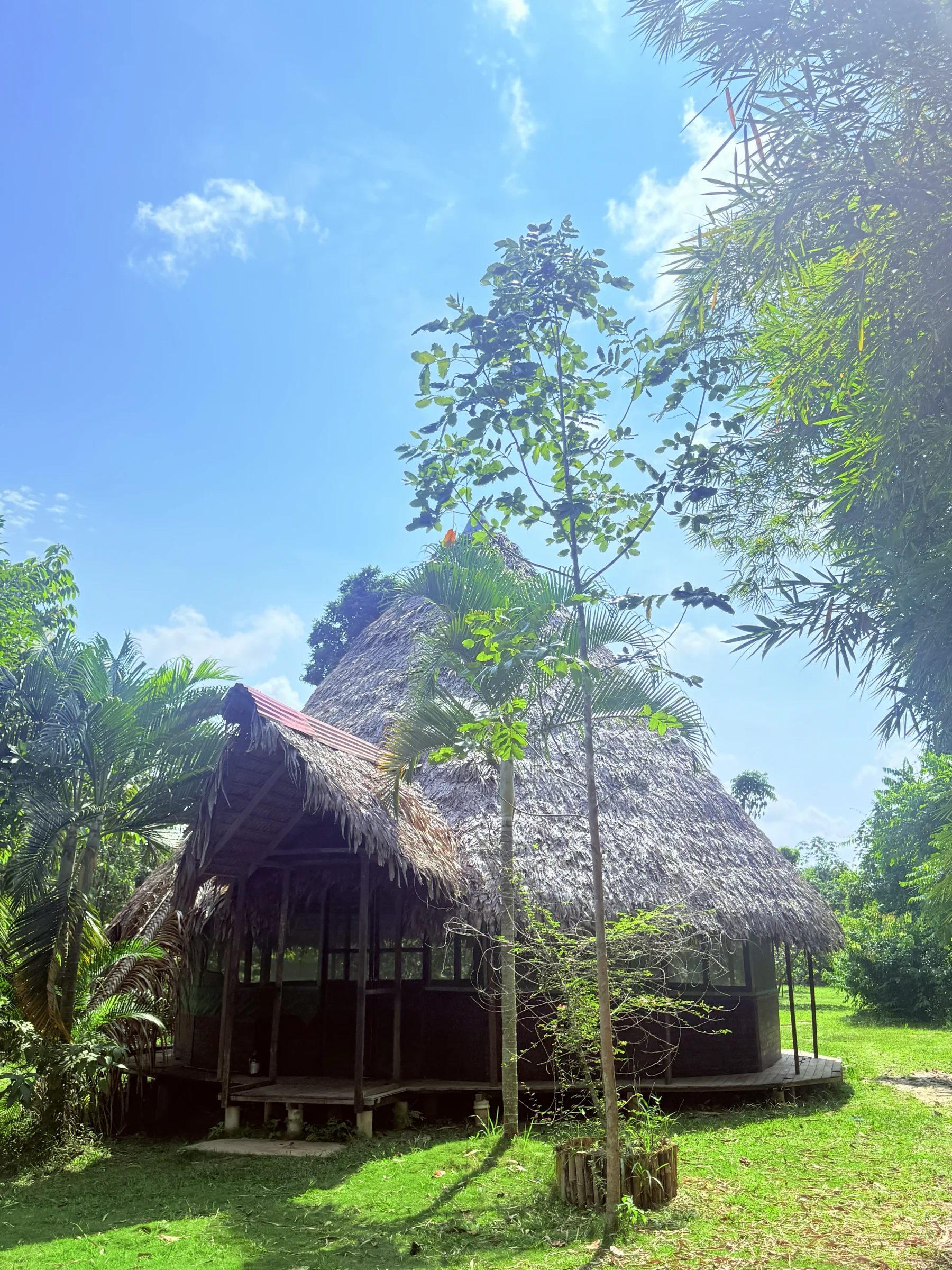 1 Week Ayahuasca Transformation