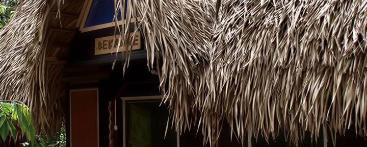 1 Week Ayahuasca Transformation