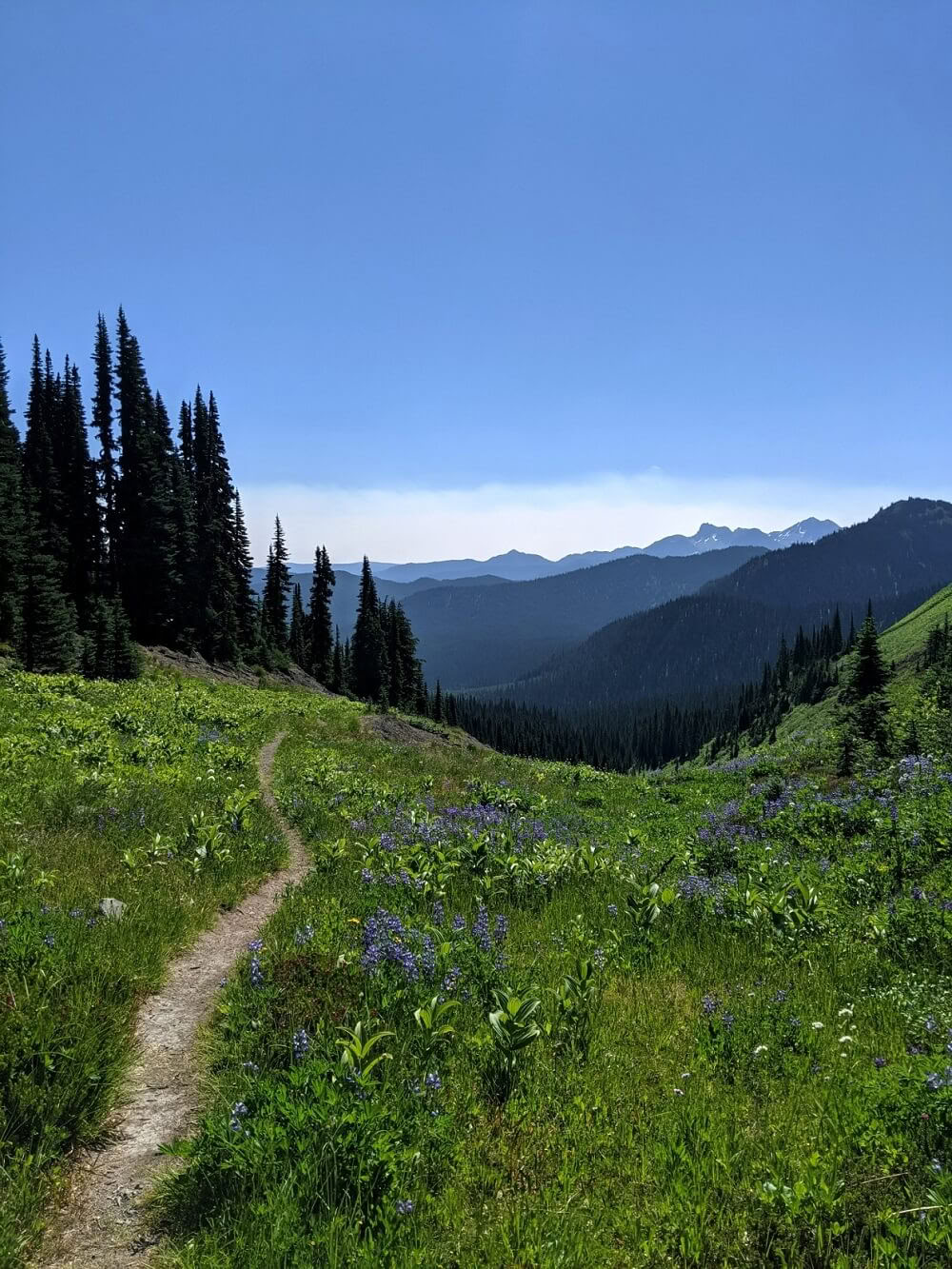 Wild Heart Pilgrimage Journey
