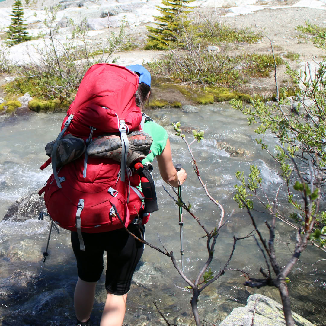 Wild Heart Pilgrimage Journey