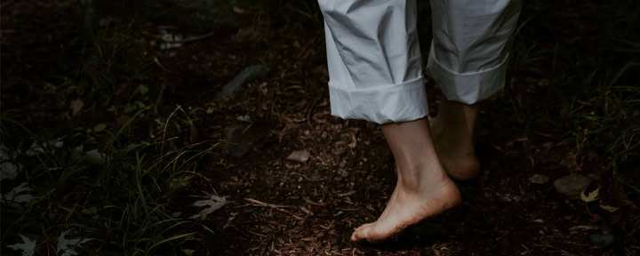 Rooted In Nature