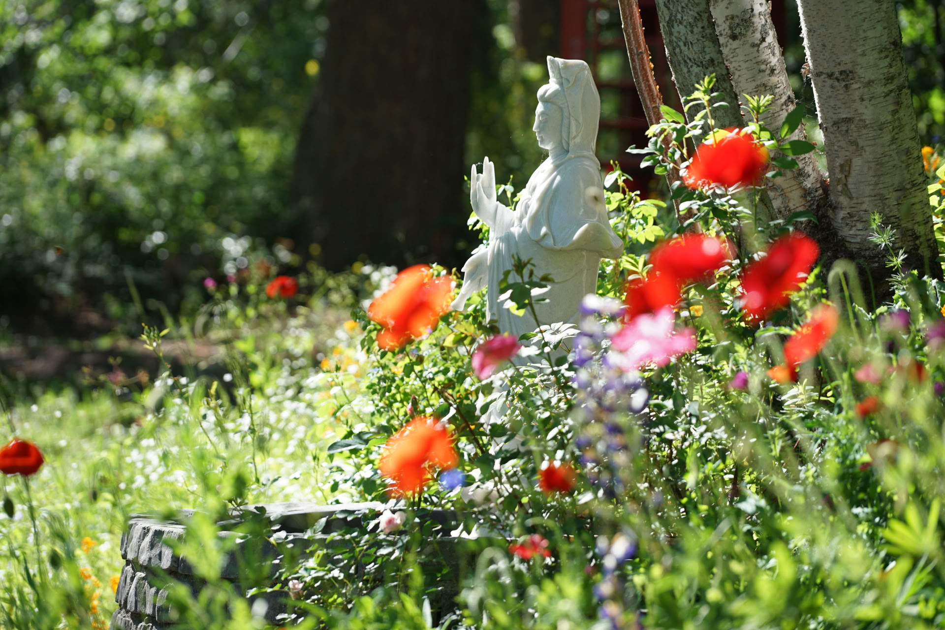 Joyful Rejuvenation Retreat