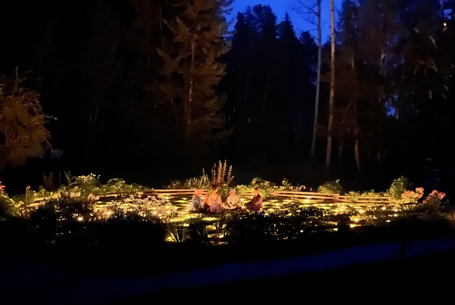 Awake In The Wild