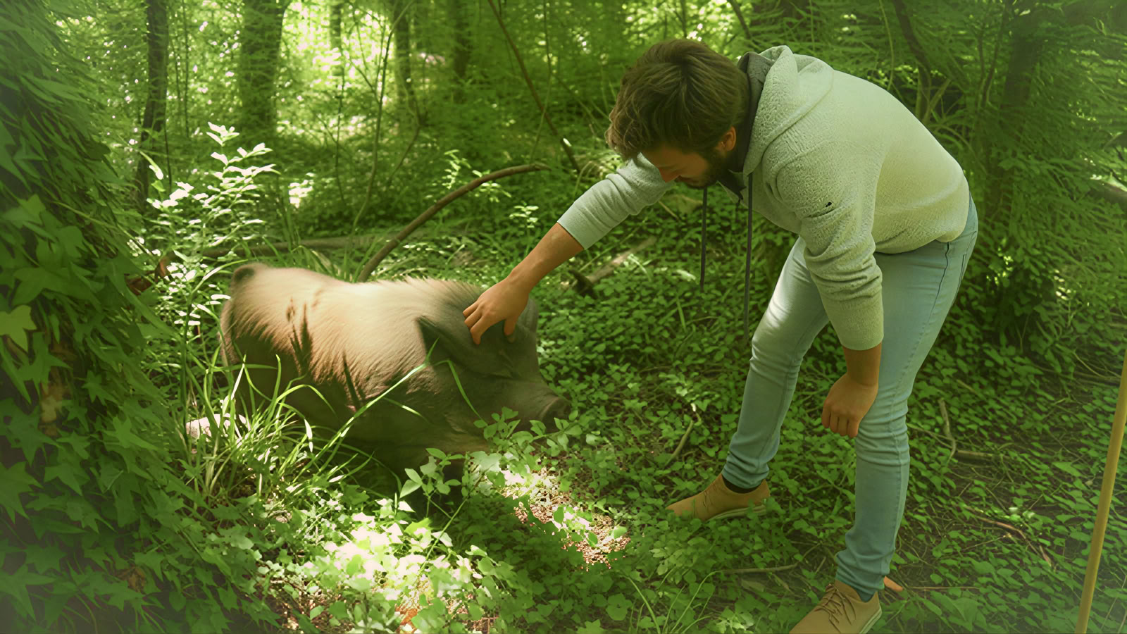 Eco Pregnancy Retreat France with Partners