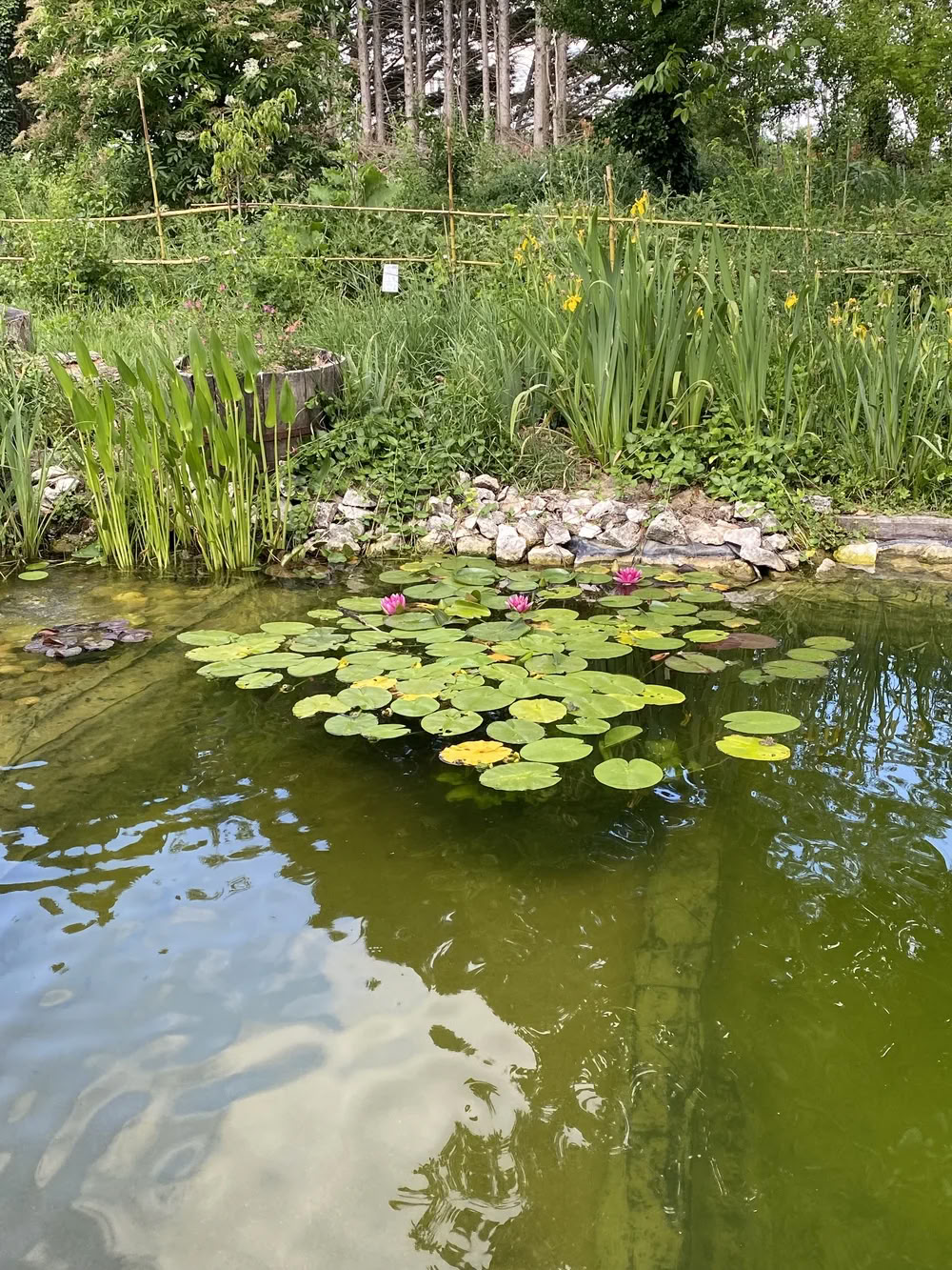 Eco Pregnancy Retreat France with Partners
