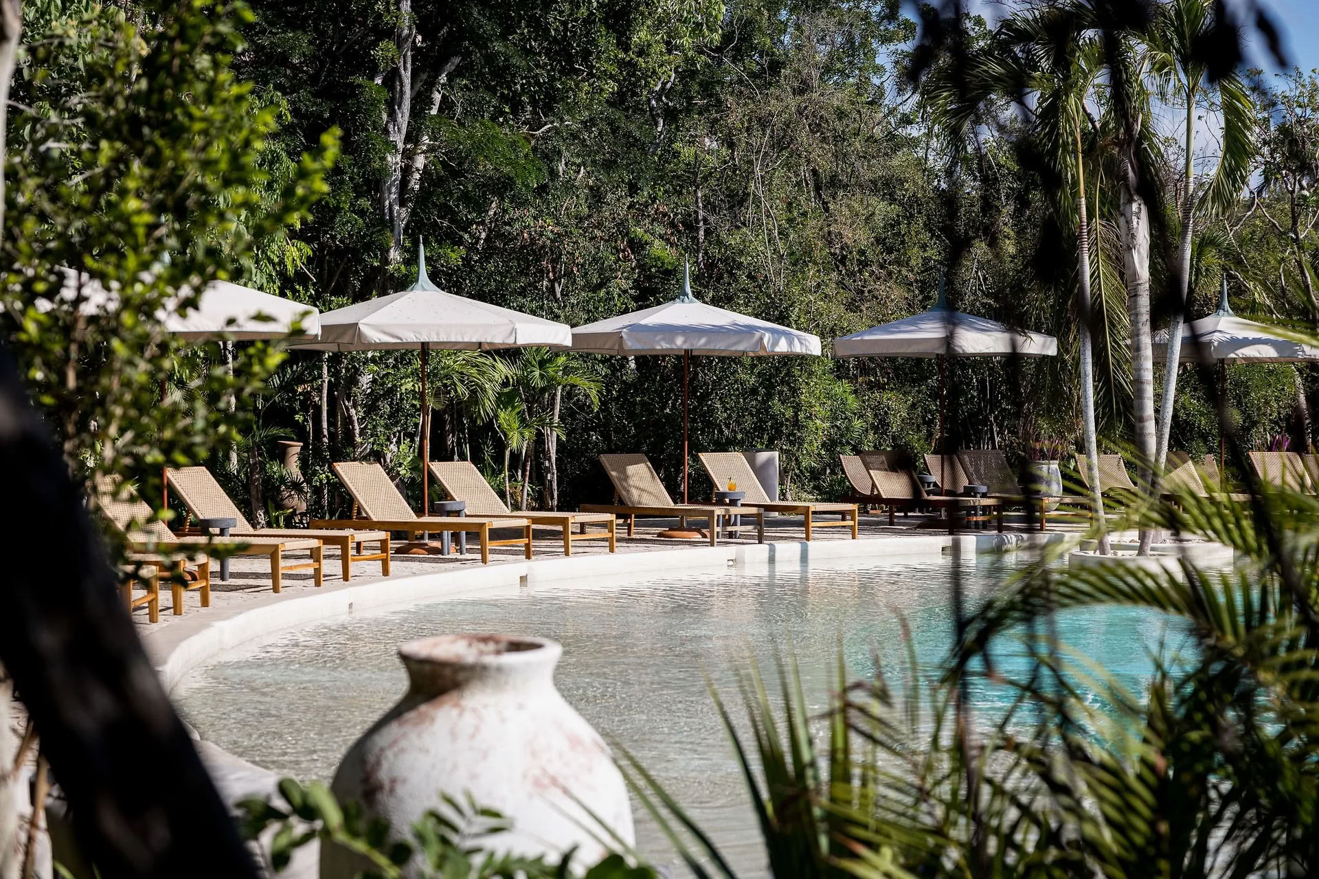 Jungle Flow & Wellness Retreat