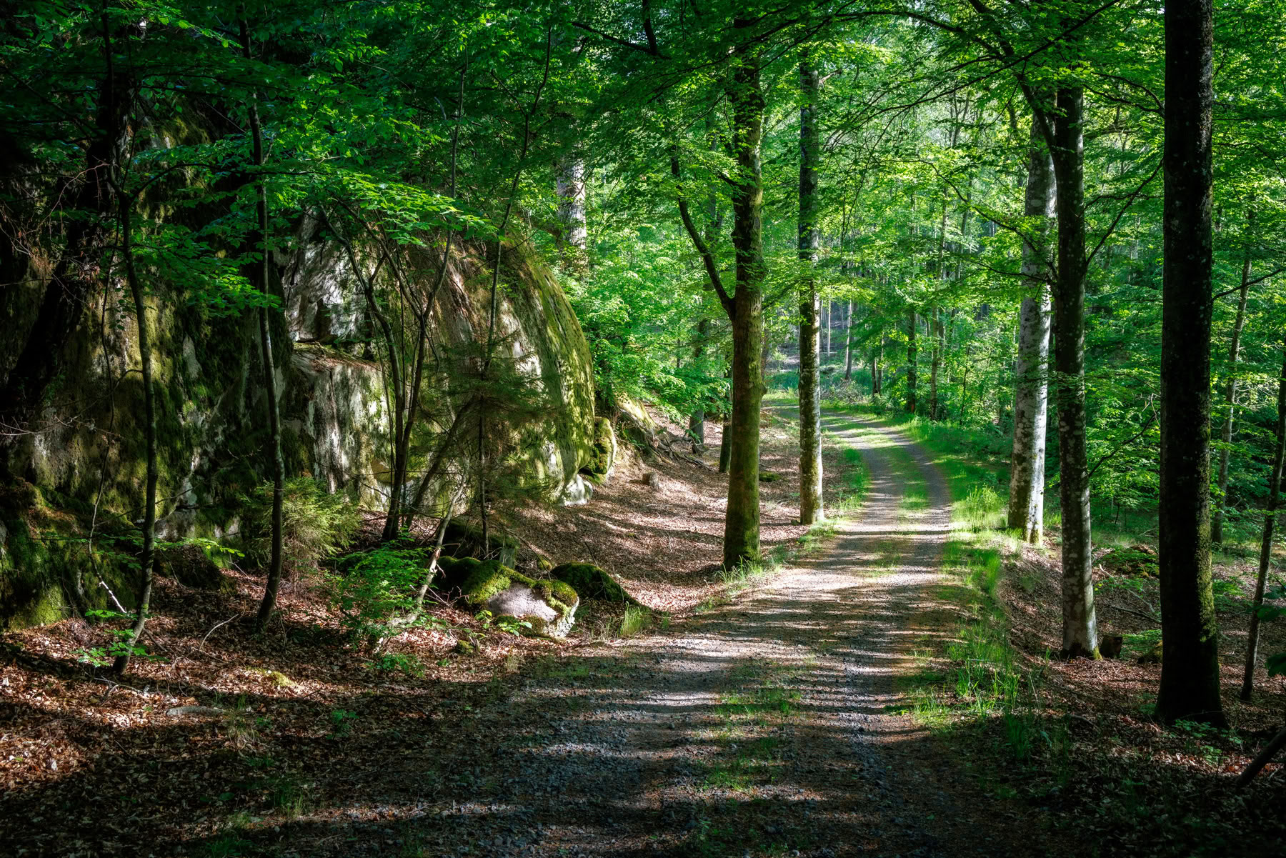 Solo retreat Basic