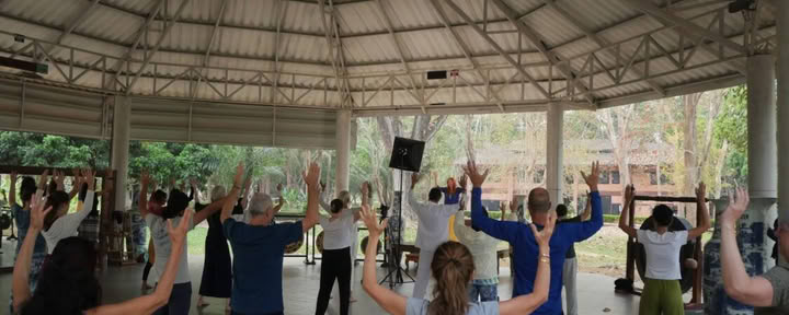 Inner Alchemy Qigong Series Tao Garden 2026