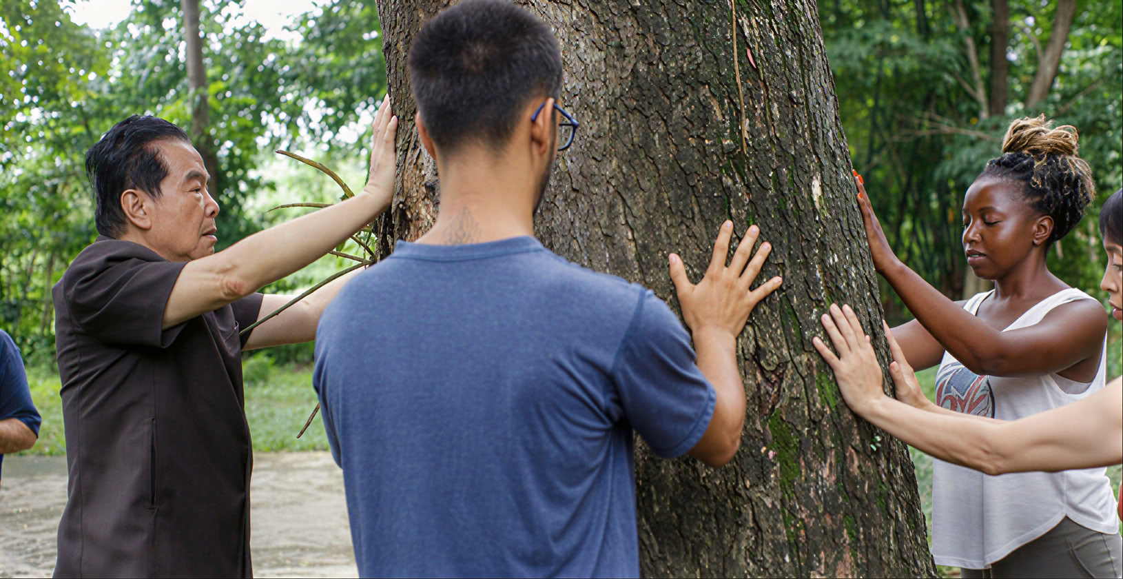 Taoist Wellness Qigong Retreat 2026 – Week 3: Inner Strength, Structure & Integration