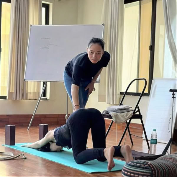 3 Day Yoga Alignment Workshop in Rishikesh