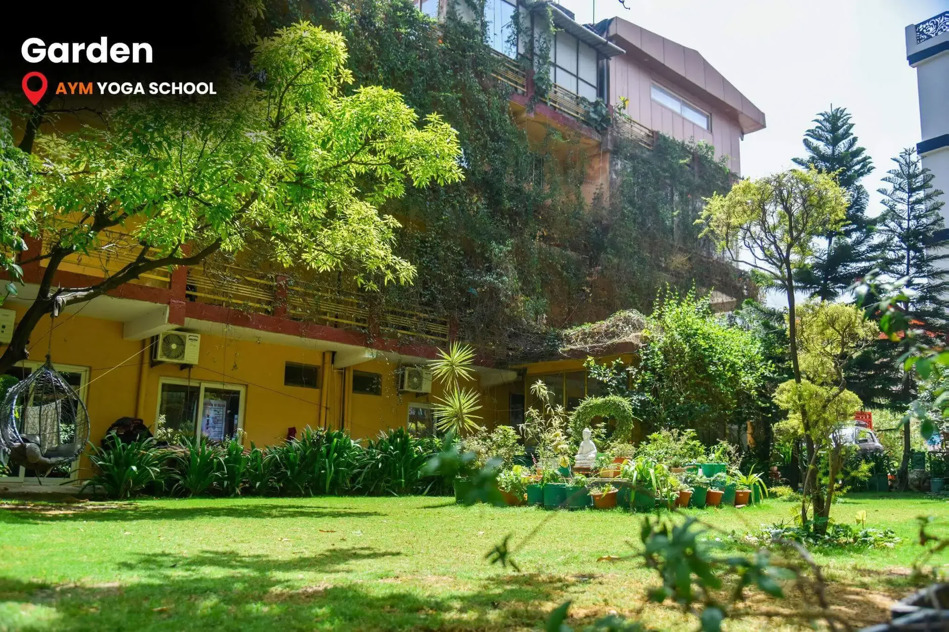 100-Hour Yoga Teacher Training in Goa