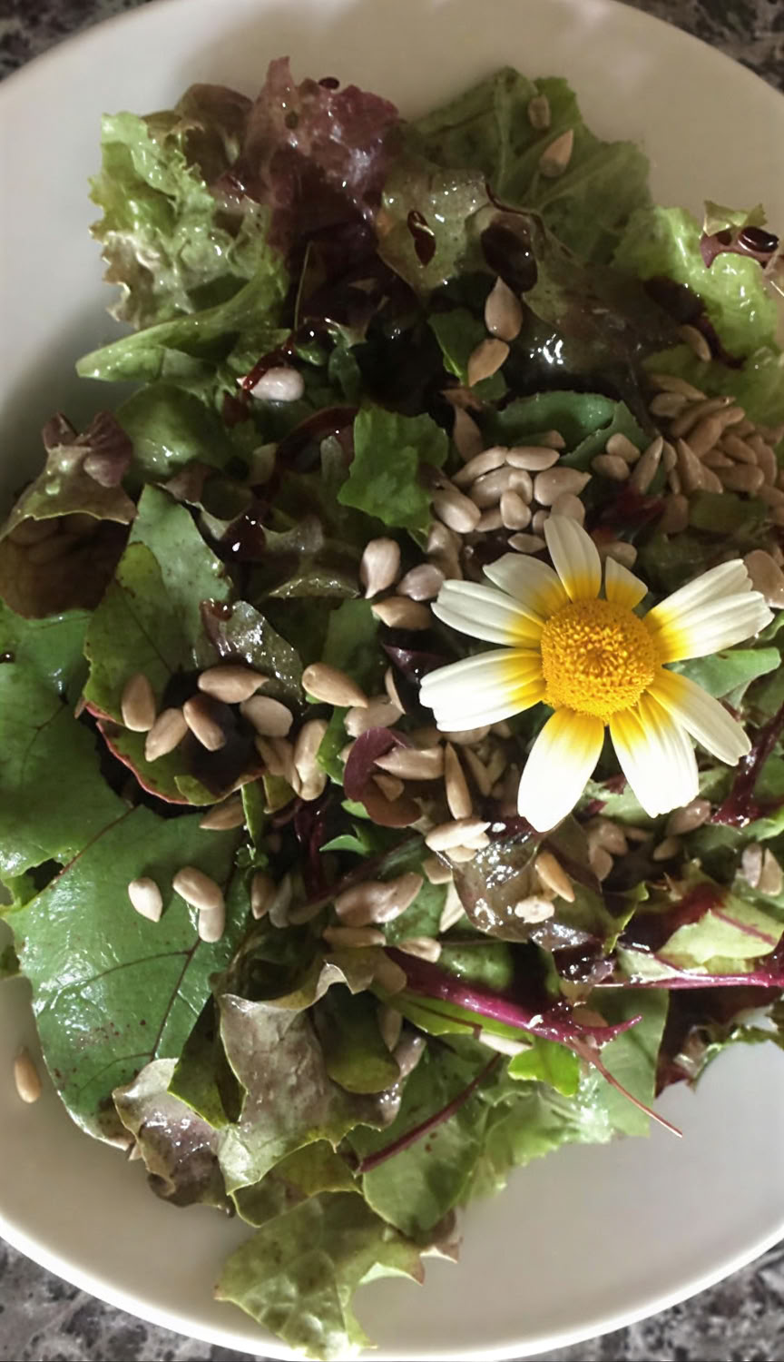 7 Day Ayurveda & Yoga Healing Immersive Nature Retreat