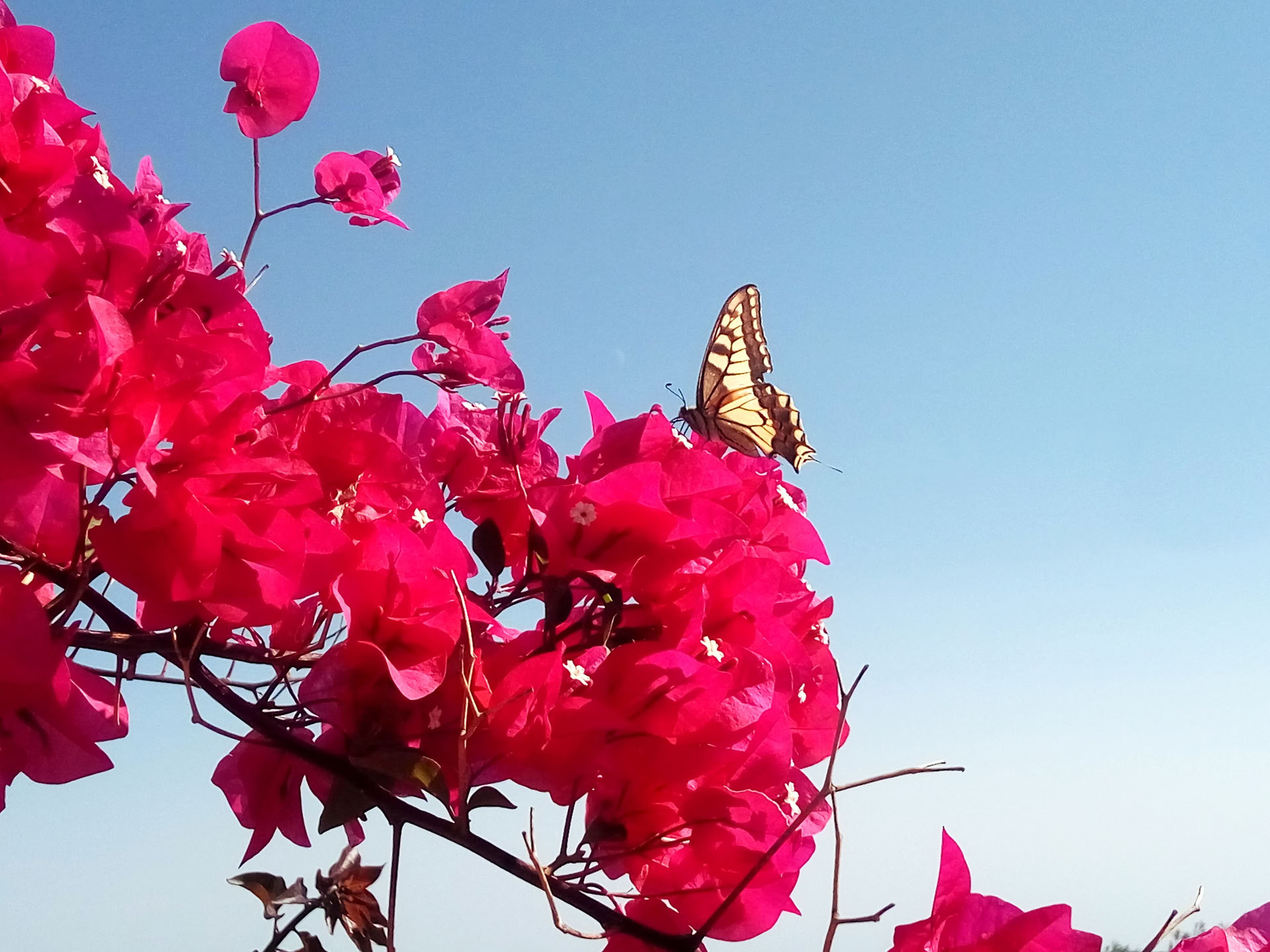 28 day INTENSIVE Transformative RETREAT