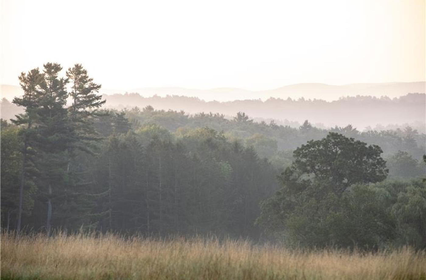 RISE: The Kripalu Approach To Resilience
