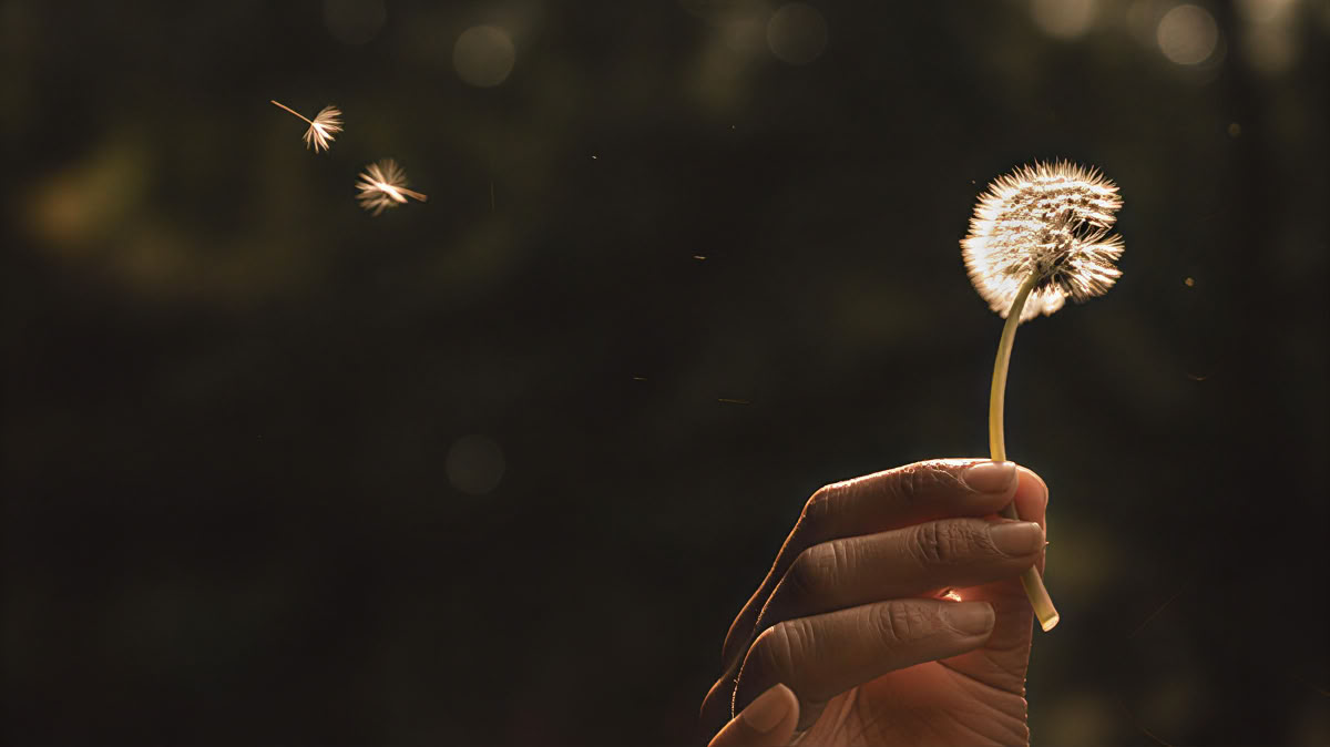 Permission and Refuge